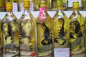 snake-wine-2.1-300x200.jpg